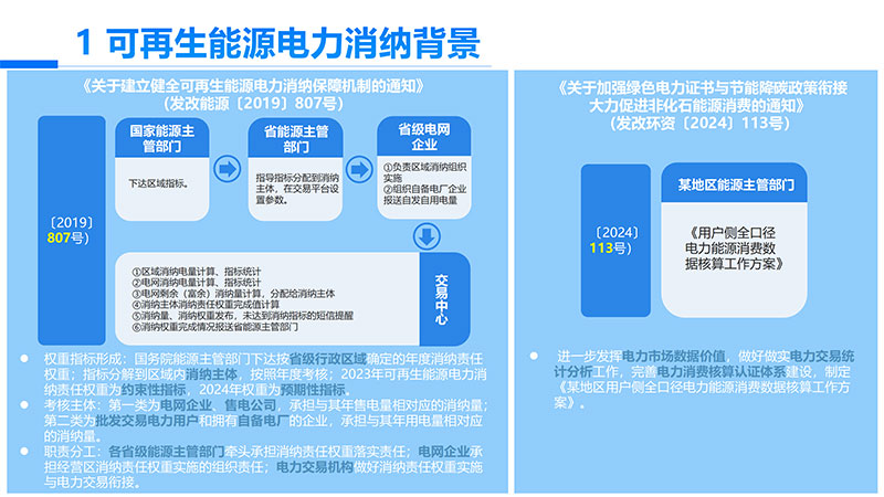 可再生能源电力消纳量监测核算设计开发项目