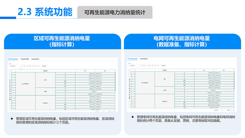 可再生能源电力消纳量监测核算设计开发项目