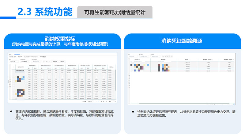 可再生能源电力消纳量监测核算设计开发项目