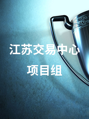 江苏交易中心项目组