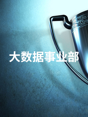 大数据事业部