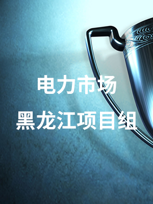 电力市场黑龙江项目组