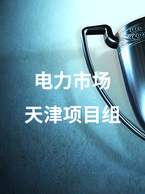 电力市场天津项目组