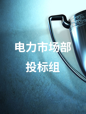 电力市场部投标组